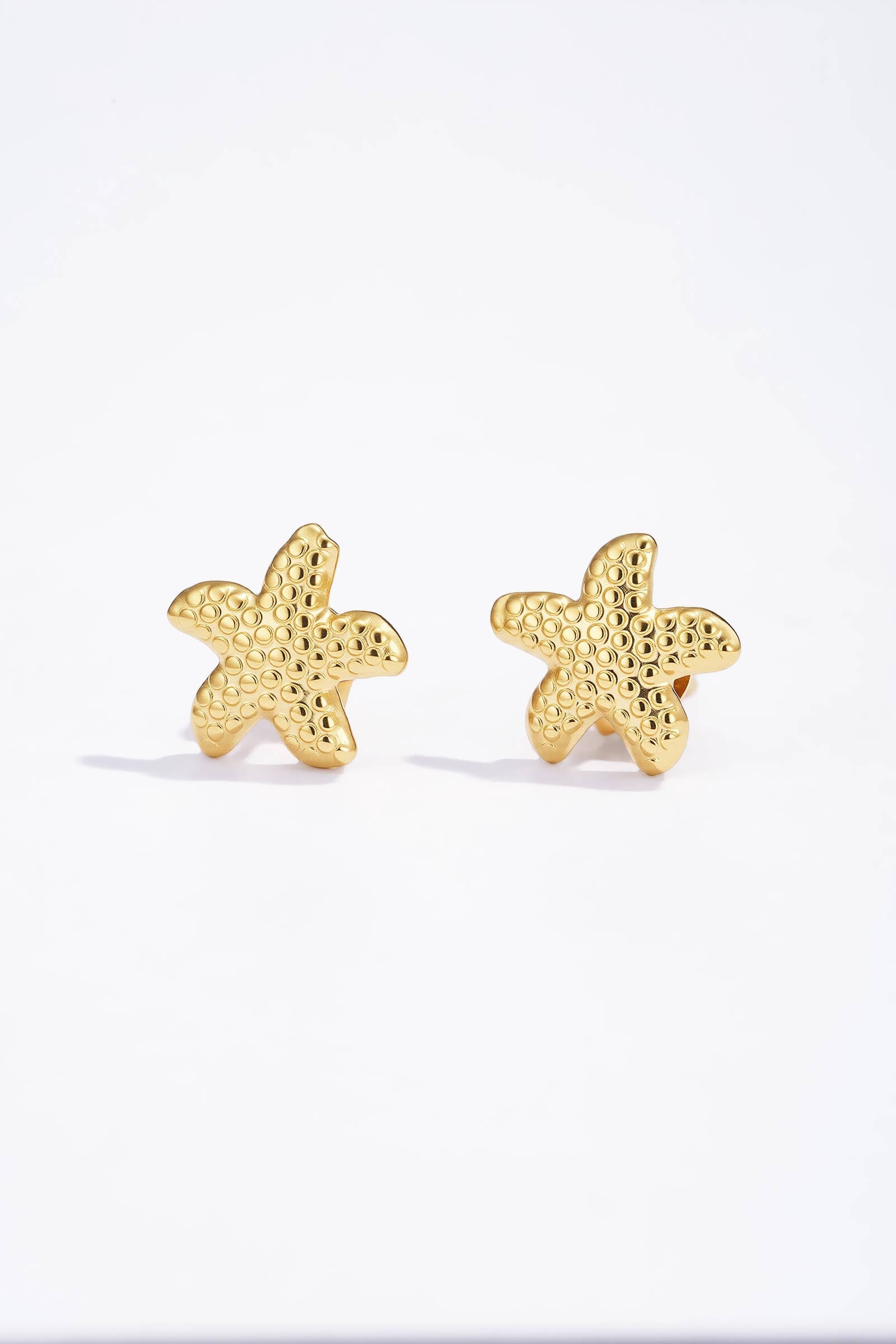 Boucles d'oreille en acier inoxydable 124RX146