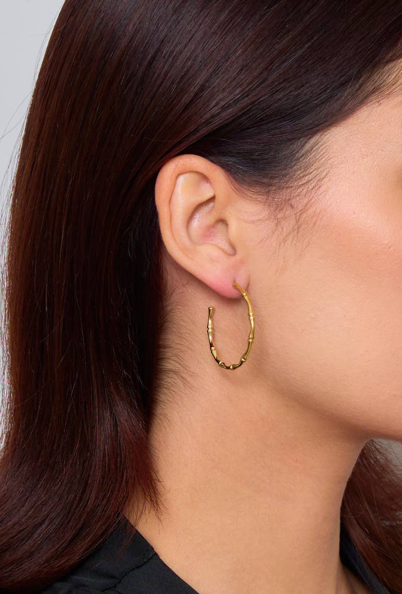Boucles d'oreilles demi créoles en acier inoxydable 124AQ54