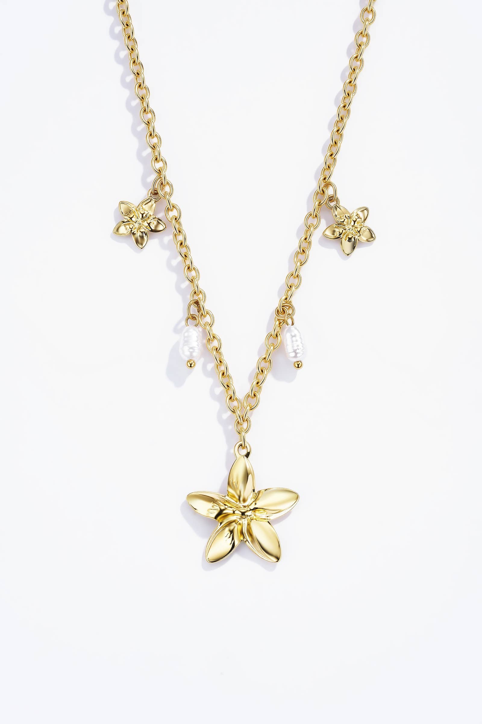 Collier en acier inoxydable 224RX68