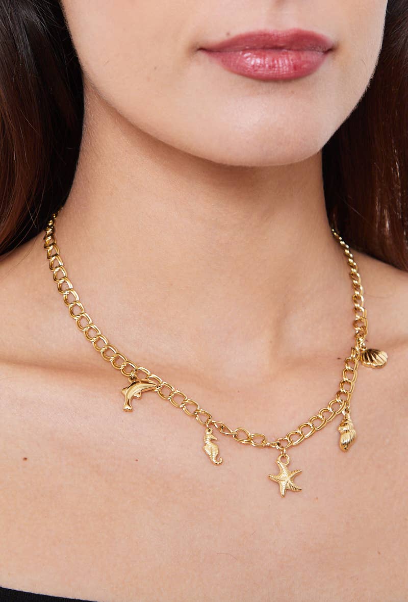 Collier en acier inoxydable 224AQ90