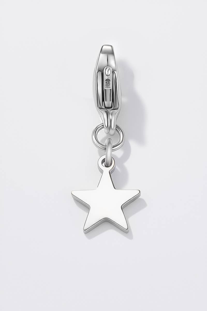 Charm breloque en acier inoxydable CHARM103AQ