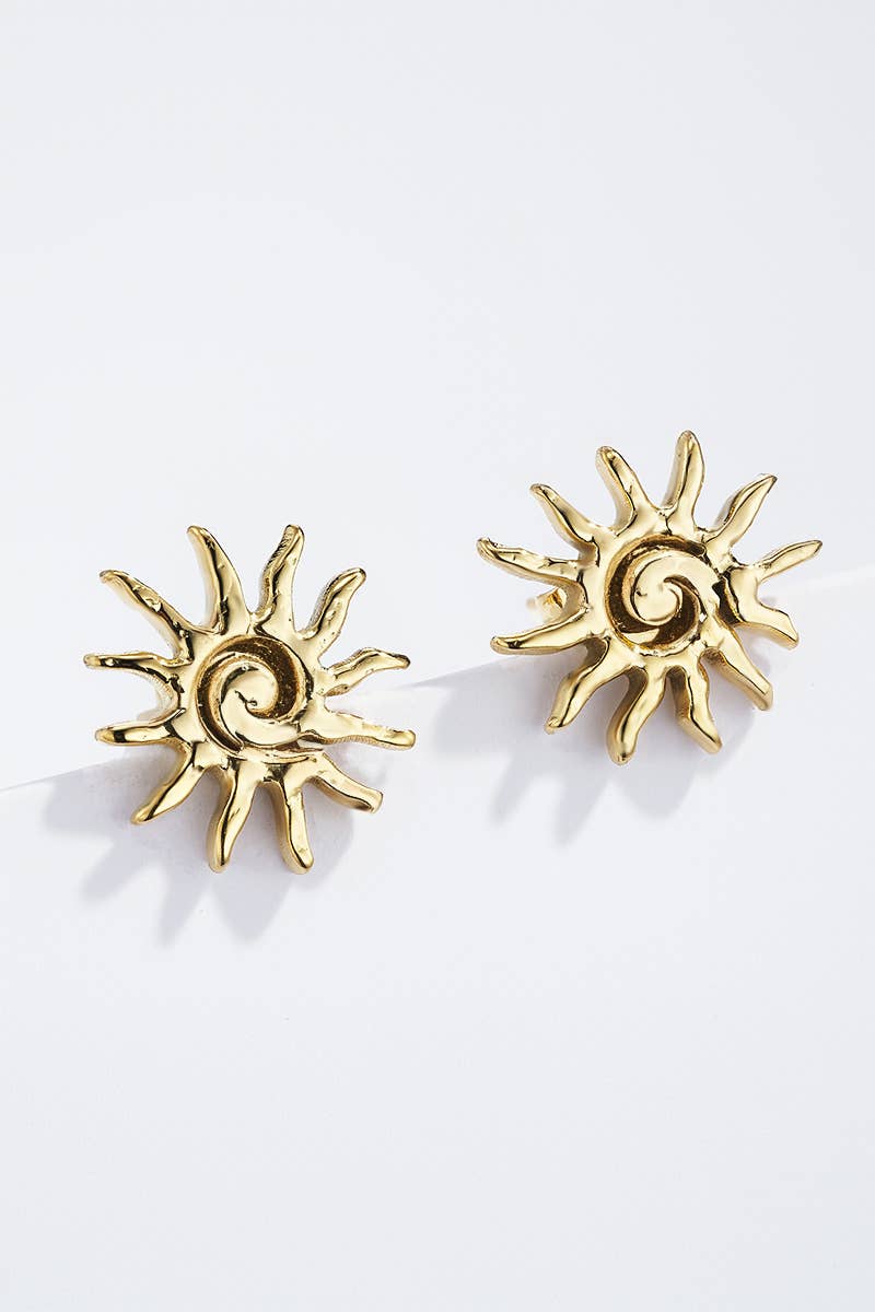 Boucles d'oreille en acier inoxydable 124RX154