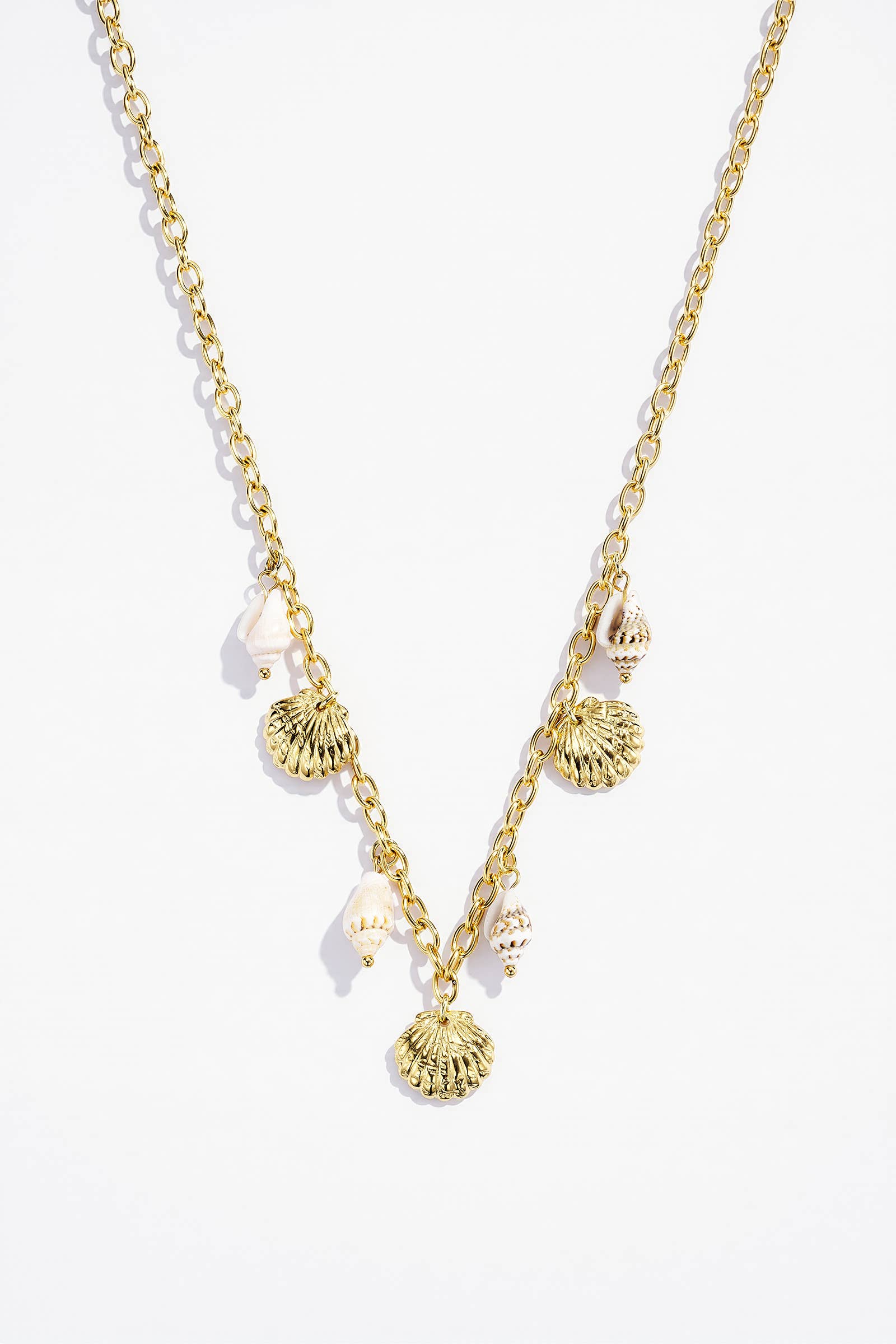 Collier en acier inoxydable 224CA25