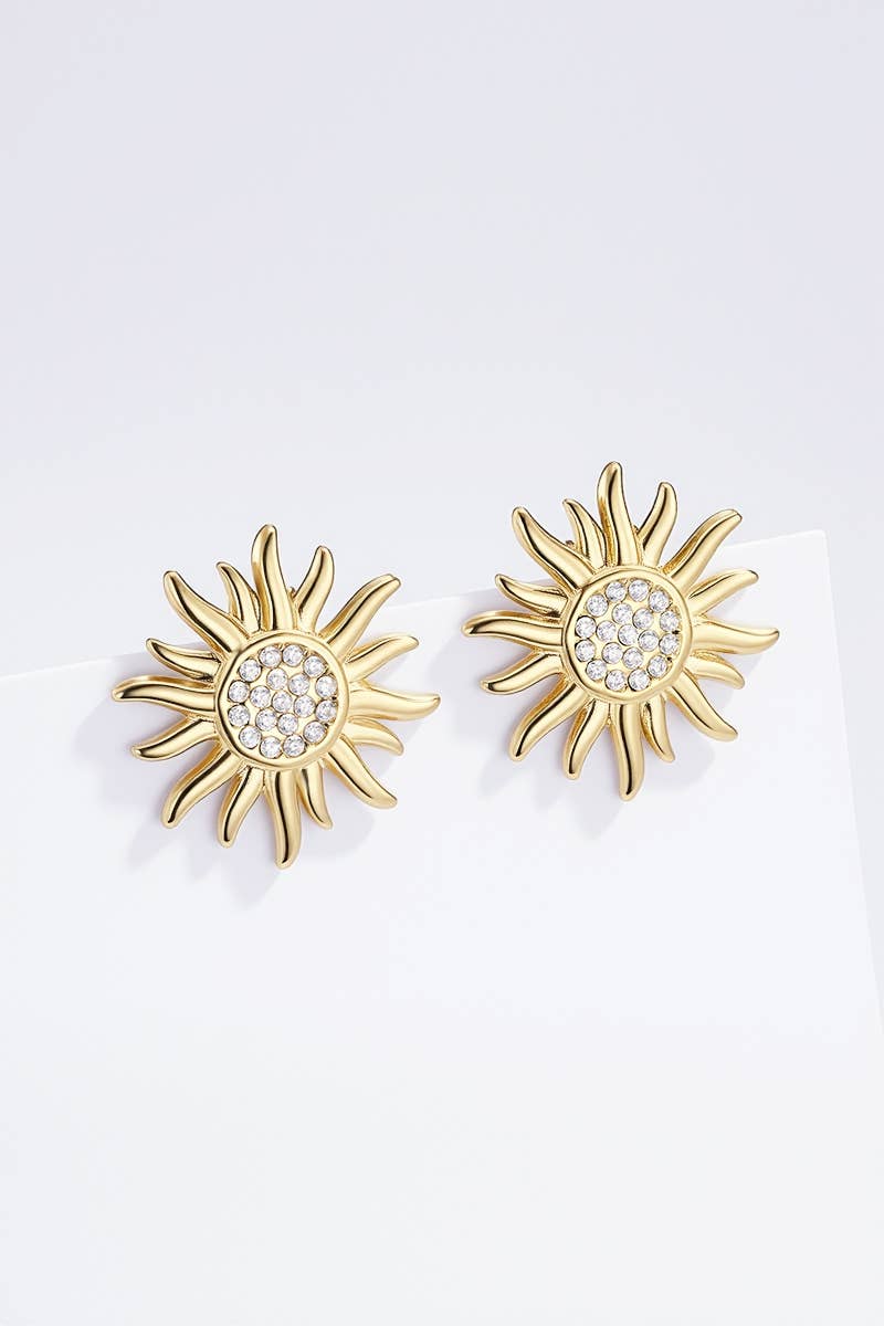 Boucles d'oreilles en acier inoxydable 124AQ407