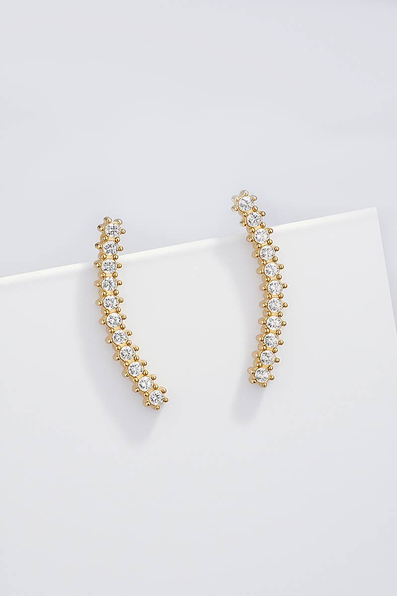 Boucles d'oreille en acier inoxydable 124RX209