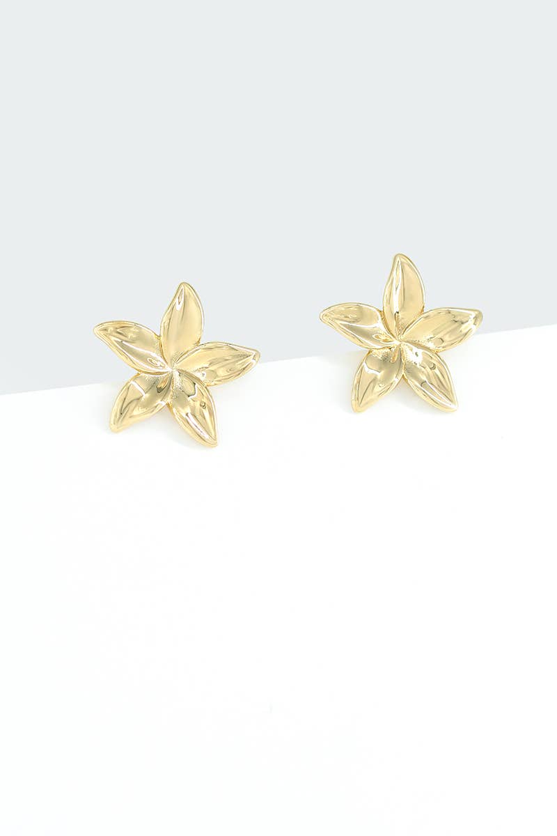 Boucles d'oreilles en acier inoxydable 124AQ270