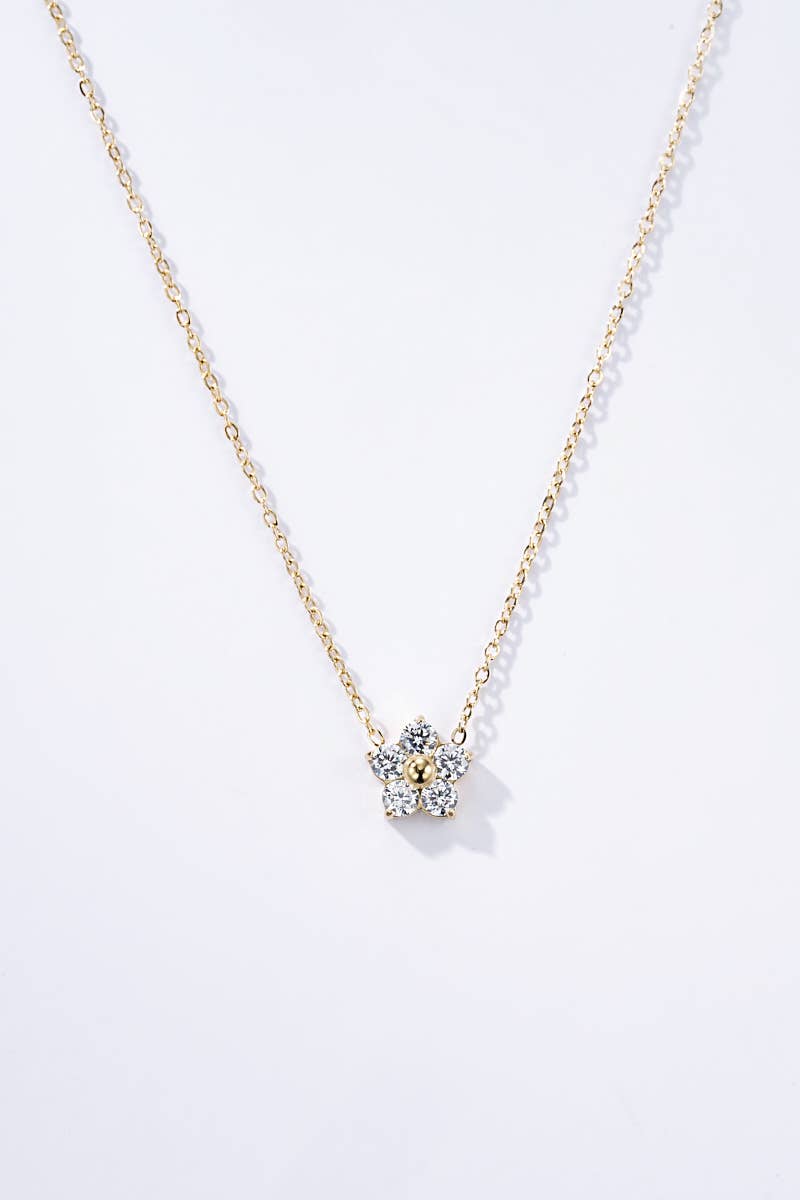Collier en acier inoxydable 224AQ109