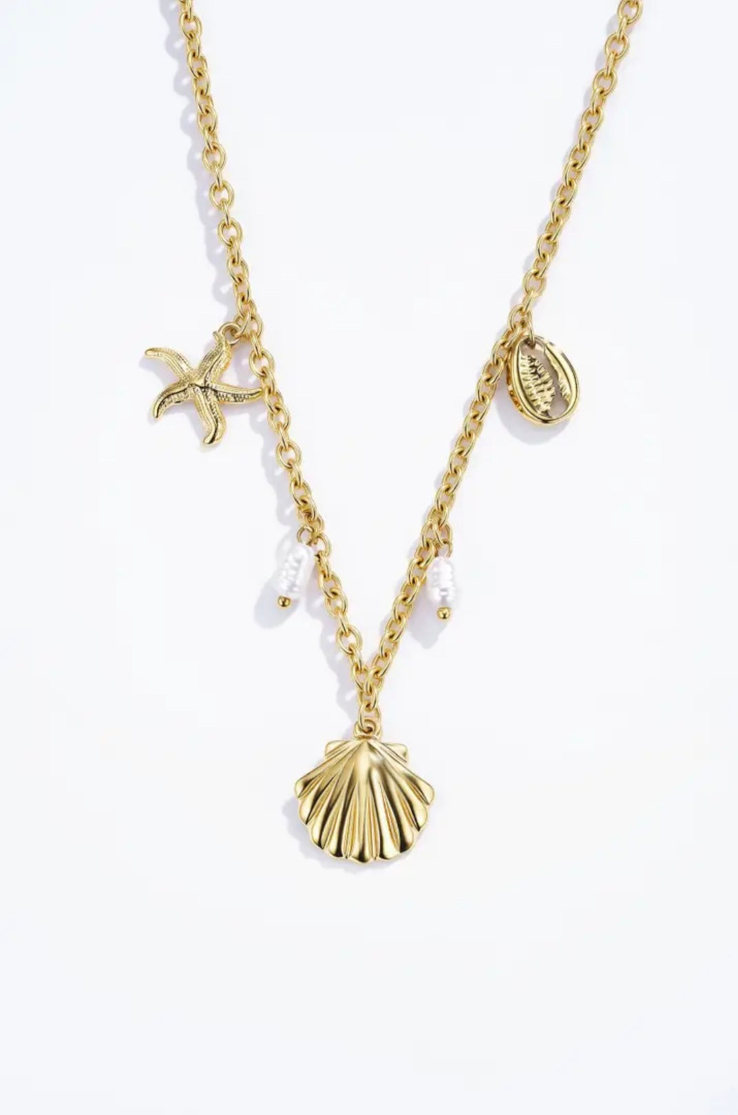 Collier en acier inoxydable 224RX69