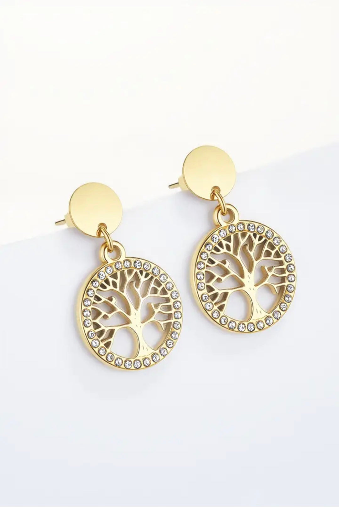 Boucles d'oreille en acier inoxydable 124RX111